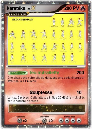 Pokemon karatéka