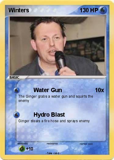 Pokemon Winters