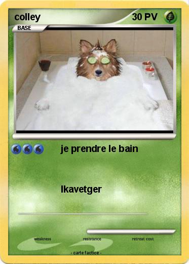 Pokemon colley