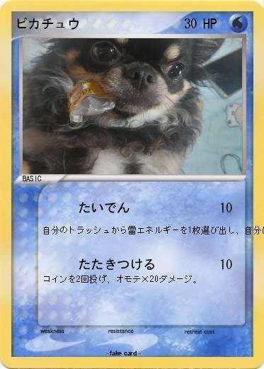 Pokemon ピカチュウ