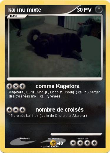 Pokemon kai inu mixte