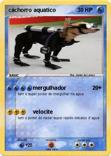 Pokemon cachorro aquatico