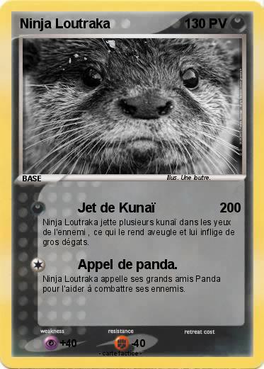 Pokemon Ninja Loutraka