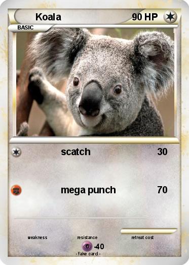 Pokemon Koala