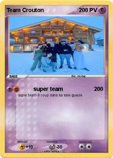 Pokemon Team Crouton