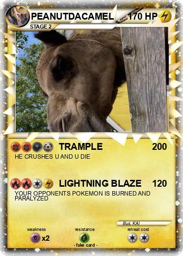 Pokemon PEANUTDACAMEL