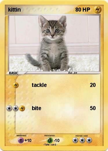 Pokemon kittin