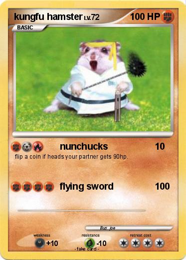 Pokemon kungfu hamster