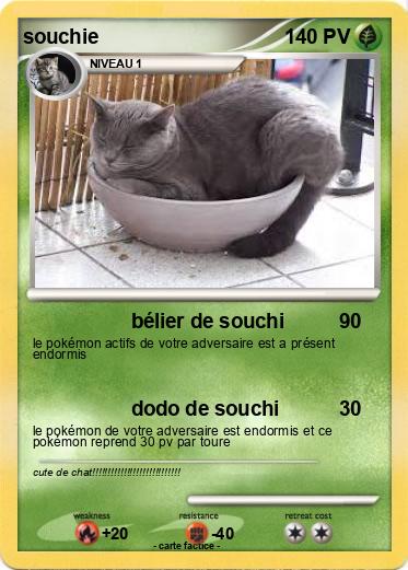 Pokemon souchie
