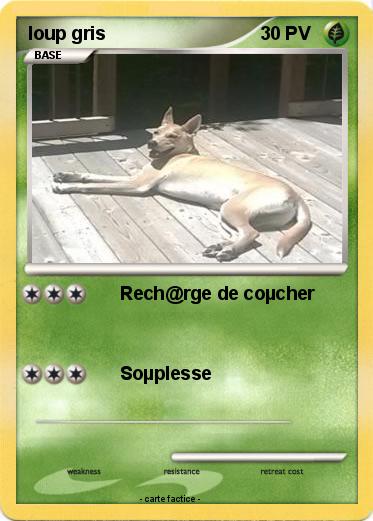 Pokemon loup gris