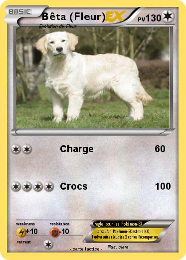 Pokemon Bêta (Fleur)