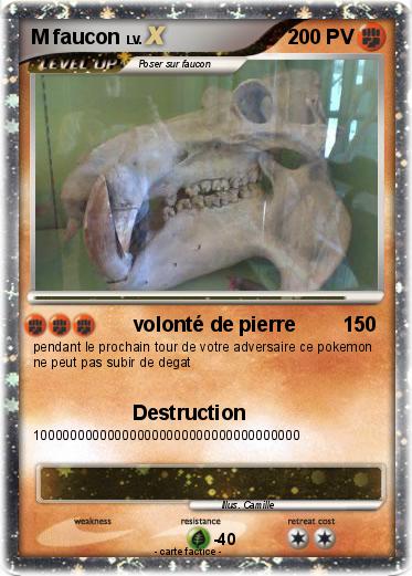 Pokemon M faucon