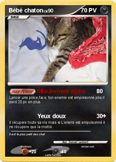 Pokemon Bébé chaton