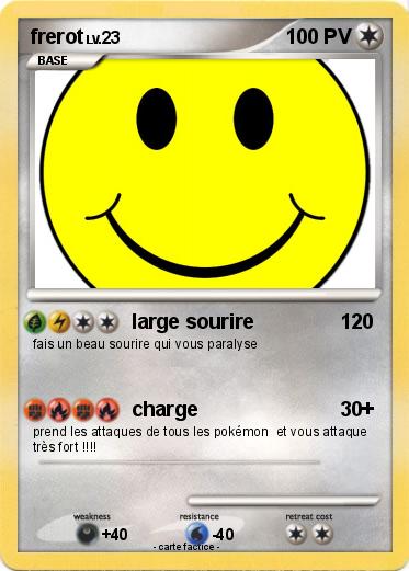 Pokemon frerot
