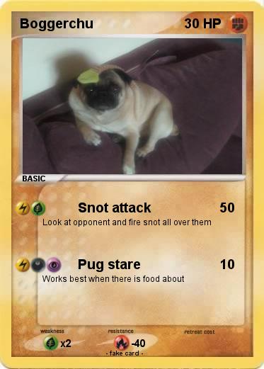 Pokemon Boggerchu