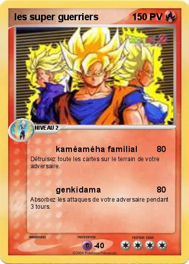 Pokemon les super guerriers