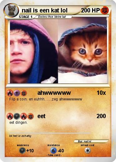Pokemon nail is een kat lol