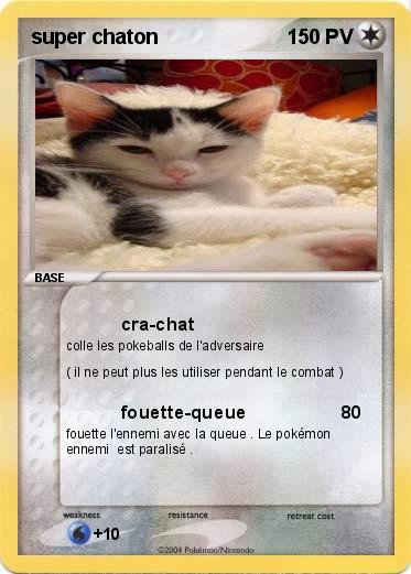 Pokemon super chaton