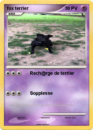 Pokemon fox terrier