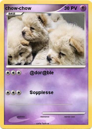 Pokemon chow-chow