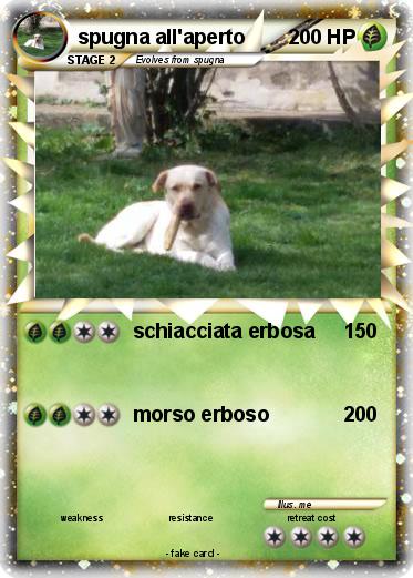 Pokemon spugna all'aperto
