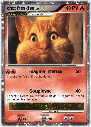 Pokemon chat freskise