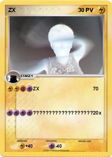 Pokemon ZX