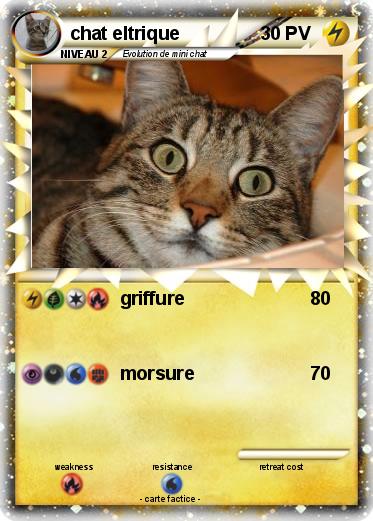Pokemon chat eltrique