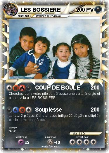 Pokemon LES BOSSIERE