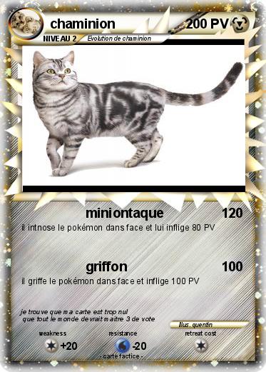 Pokemon chaminion