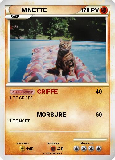 Pokemon MINETTE