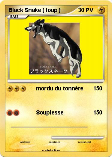 Pokemon Black Snake ( loup )