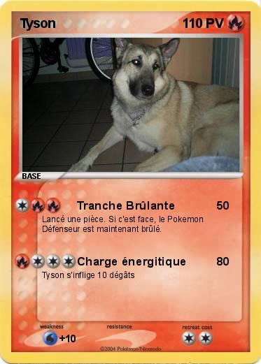 Pokemon Tyson