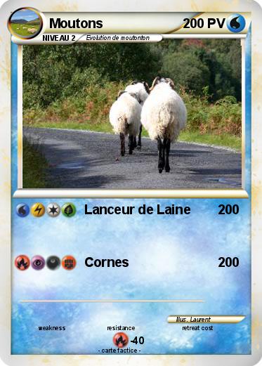 Pokemon Moutons