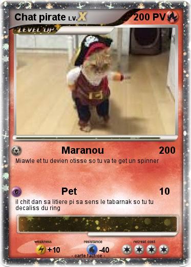 Pokemon Chat pirate