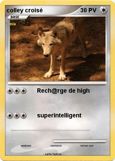 Pokemon colley croisé