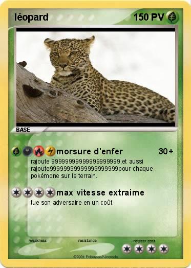Pokemon léopard