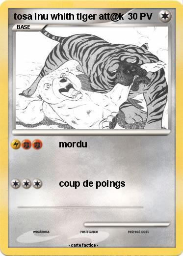 Pokemon tosa inu whith tiger att@k