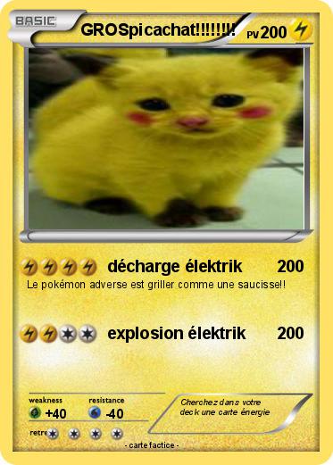 Pokemon GROSpicachat!!!!!!!!