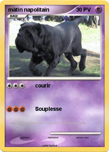 Pokemon mâtin napolitain