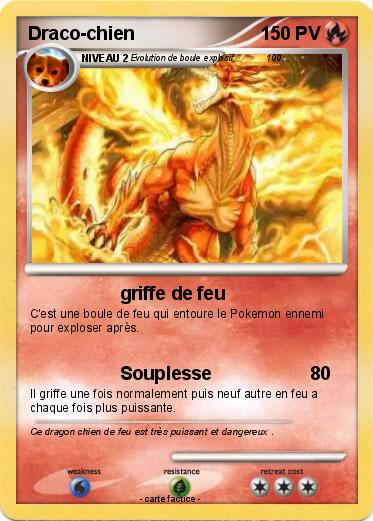 Pokemon Draco-chien