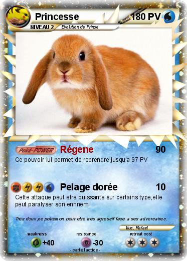 Pokemon Princesse