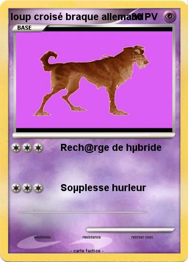 Pokemon loup croisé braque allemand