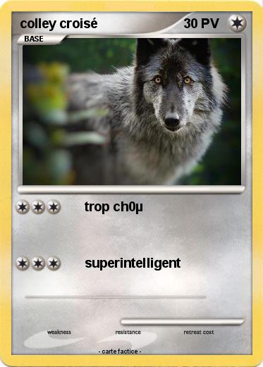 Pokemon colley croisé