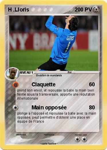 Pokemon H .Lloris