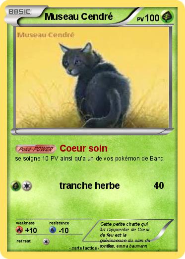 Pokemon Museau Cendré