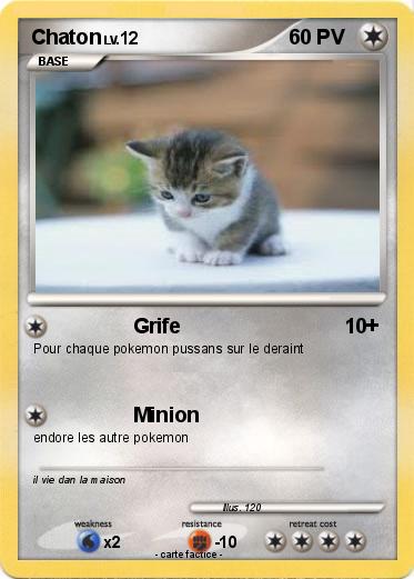 Pokemon Chaton