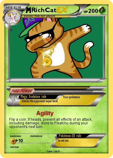 Pokemon RichCat