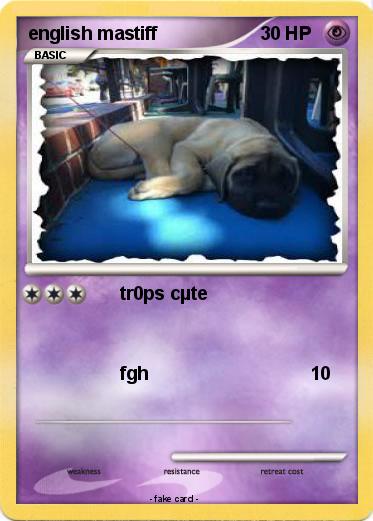 Pokemon english mastiff