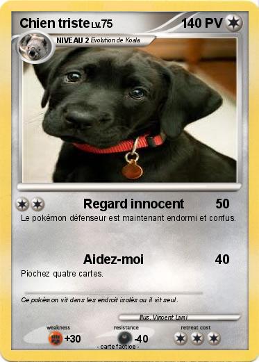 Pokemon Chien triste
